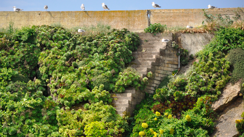 Illustration for article titled 22 Stairways That Lead Nowhere
